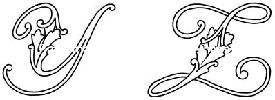 Fancy Cursive Letters 9 - Letters Y and Z