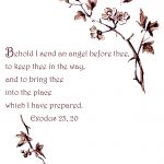 Inspirational Bible Verses 5