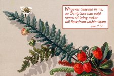 Bible Verses On Faith 2