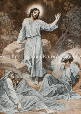 Pictures of Jesus Christ 11 - Christ's Agony
