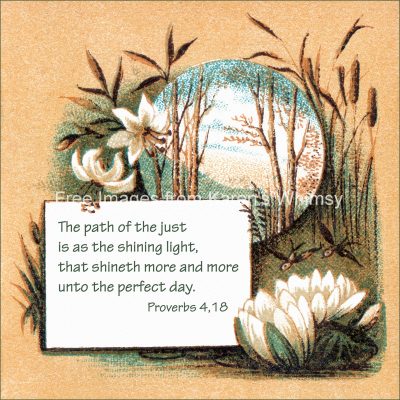 Bible Proverbs 6