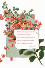 Bible Verses For Hope 1