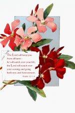 Bible Verses For Hope 5