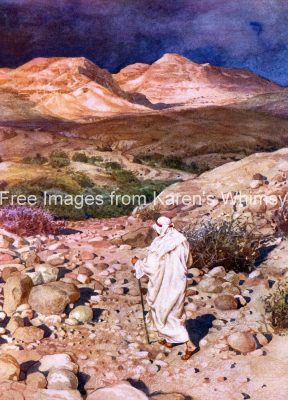 New Testament 14 - Jesus in the wilderness