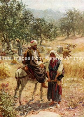 Images for the Bible 7 - Boaz and Ruth