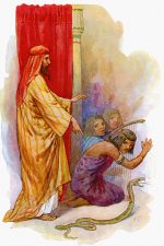 Pictures from the Bible 11 - Aaron's Rod