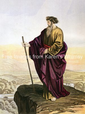 Christian Pictures 1 - Moses Viewing Land
