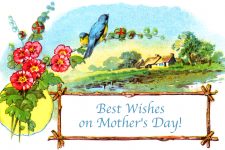 Mother's Day Greetings 4