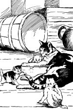 Cat Illustrations 6