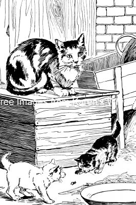 Cat Illustrations 1