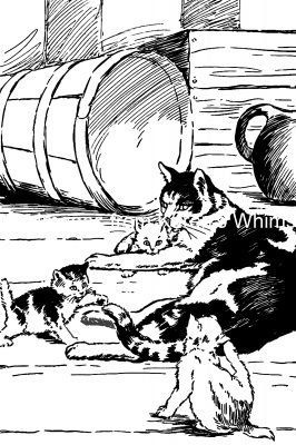 Cat Illustrations 6
