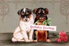 Happy Birthday Images With Dogs 1