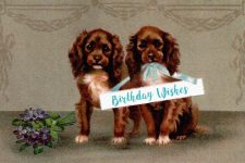 Happy Birthday Images With Dogs 2