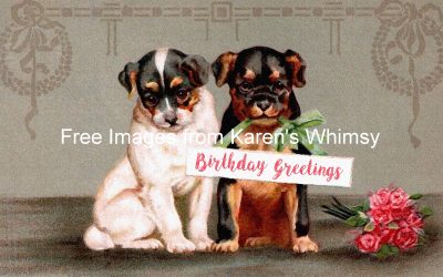 Happy Birthday Images With Dogs 1