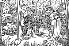 Popular Fairy Tales 16 - The Beetle