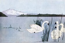Popular Fairy Tales 8 - The Ugly Duckling