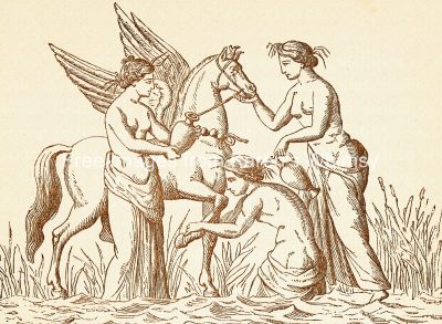 Gods of Greek Mythology 4 - Pegasus and the Nymphs