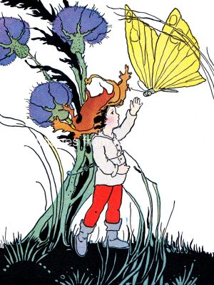 Tom Thumb Story 3 - Tom Talks To A Butterfly