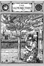 Grimms Brothers Fairy Tales 8 - The Almond Tree