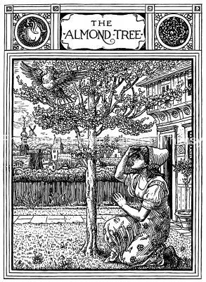 Grimms Brothers Fairy Tales 8 - The Almond Tree