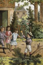 Hans Christian Andersen Stories 5 - The Fir Tree
