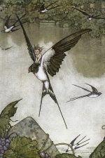Hans Christian Andersen Fairy Tales 5 - Tommelise