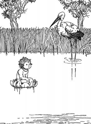 Hans Christian Andersen Fairy Tales 1 - The Marsh King's Daughter