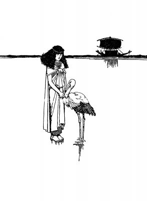 Hans Christian Andersen Fairy Tales 3 - The Marsh King's Daughter