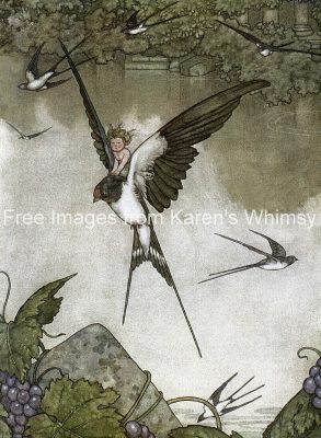 Hans Christian Andersen Fairy Tales 5 - Tommelise