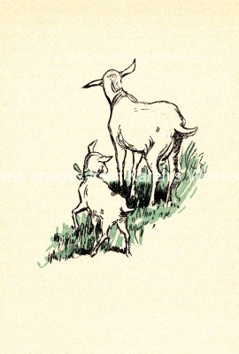 Heidi 2 - Two Goats