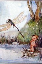The Water Babies 4 - The Dragonfly