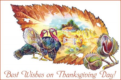 Happy Thanksgiving Pictures 2 - Turkeys and a Country Scene