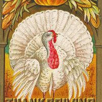 Free Images of Thanksgiving