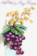 Free Images of Thanksgiving 6 - Cluster of Grapes