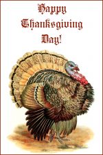 Free Images of Thanksgiving 7 - A Colorful Turkey