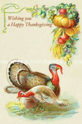 Free Images of Thanksgiving 4 - Turkeys with Vegetables