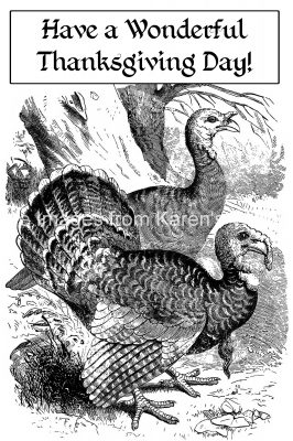 Free Images of Thanksgiving 8 - Turkeys in the Woods