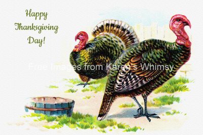 Happy Thanksgiving Clip Art 2 - Turkeys in the Yard
