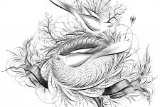 Calligraphy Art 1 - Birds and Nest