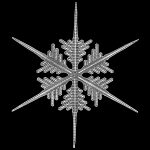 Snowflake Clip Art 11