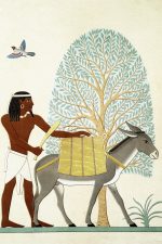 Egyptian Art 8 - Native of Punt