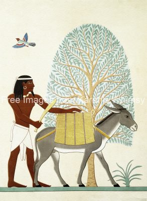 Egyptian Art 8 - Native of Punt