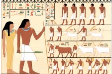Ancient Egyptian Hieroglyphics 12