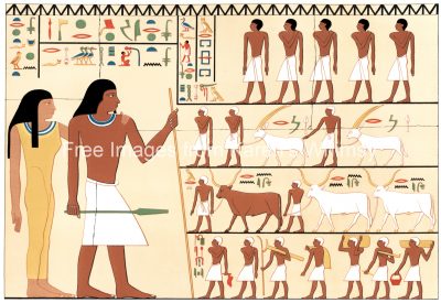 Ancient Egyptian Hieroglyphics 12