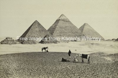 Ancient Egyptian Pyramids 5