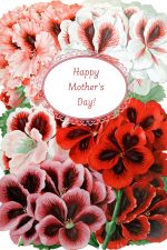 Happy Mothers Day Pictures 7