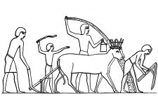 Life In Ancient Egypt 1
