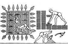 Ancient Egyptian Culture 16