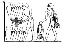 Ancient Egyptian Culture 8