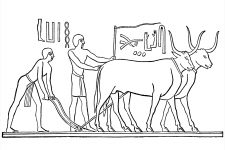 Ancient Egypt Culture 13